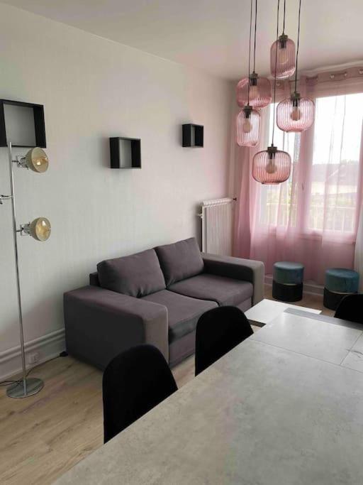 Bel Appartement Centre Ville De Vierzon Ngoại thất bức ảnh
