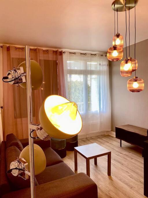 Bel Appartement Centre Ville De Vierzon Ngoại thất bức ảnh